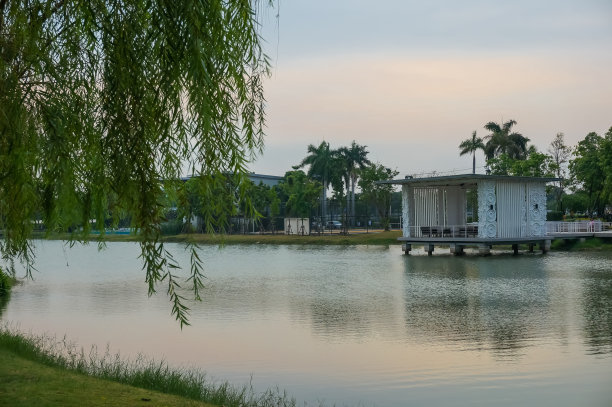 华南热带农业大学湛江办事处