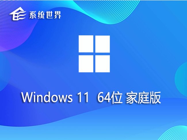 Windows 11  64位家庭版v2024.01