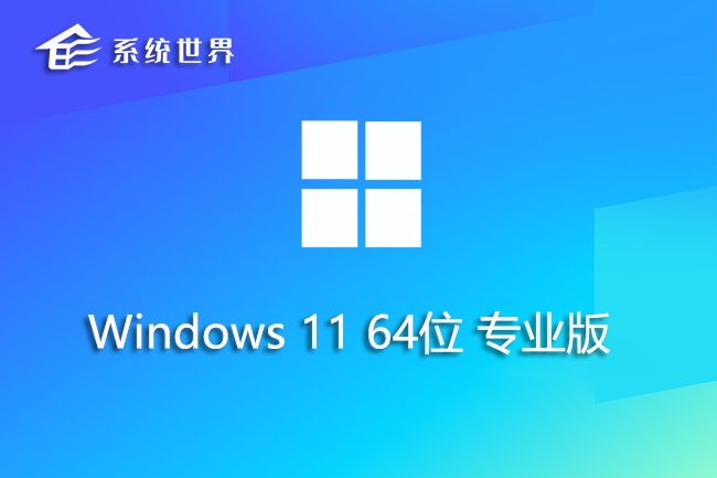 Windows 11 64位专业版v2024.02