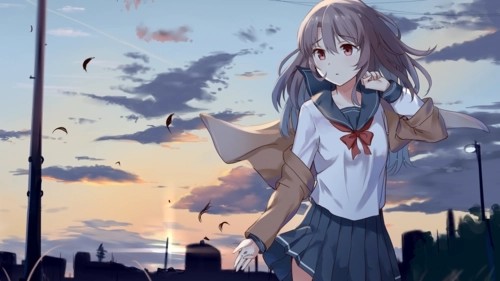 Ehviewer软件