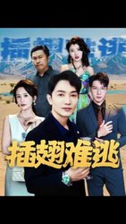 插翅难飞(短剧版)