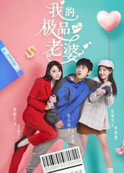 我的极品老婆 第一季