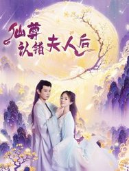 仙尊认错夫人后