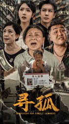 寻孤(短剧版)