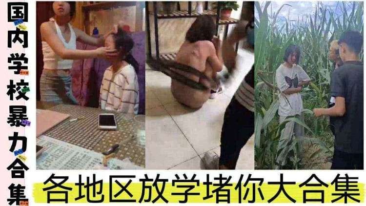 【校园暴力】全国各地校园暴力大合集