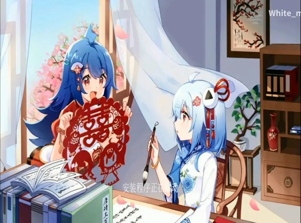 安装程序启动底图