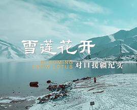 雪莲花开——对口援疆纪实